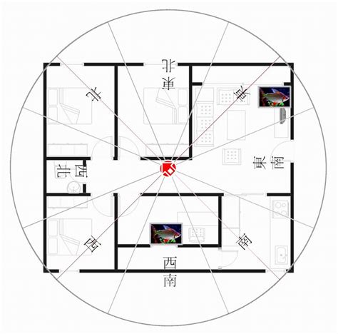 坐西南|【坐西南朝東北風水】坐西南朝東北風水解析：財庫飽。